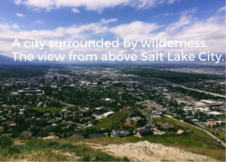 view of Salt Lake City