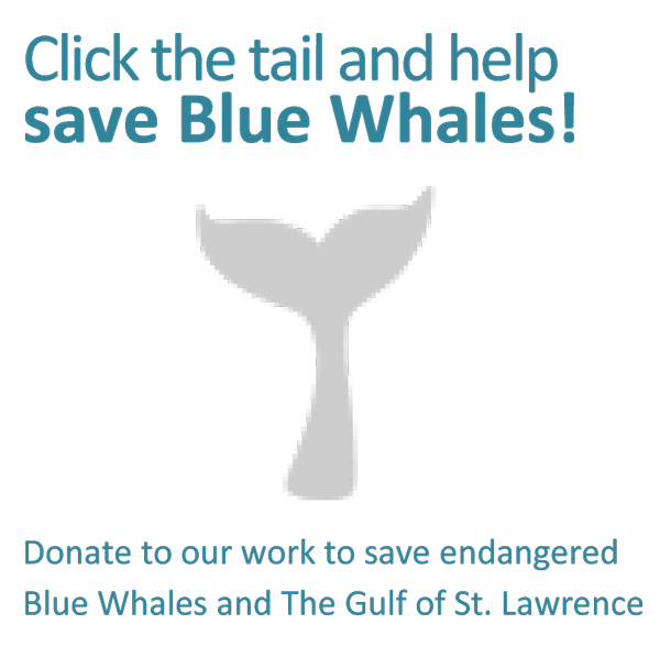 Click here to help save Blue Whales