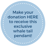 Make your donation here to receive this exclusive whale pendant