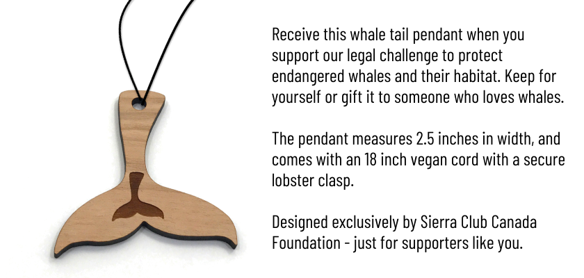 Receive this whale tail pendant when you support our legal challenge.