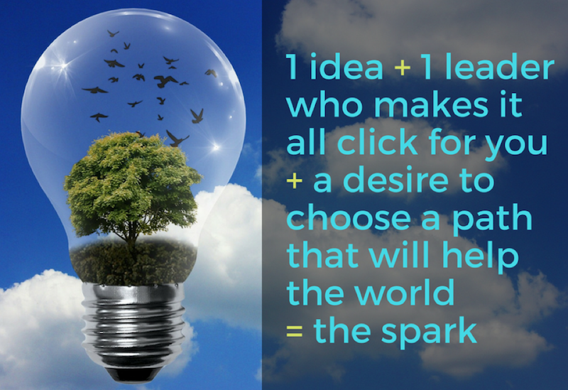 1 idea + 1 Leader + a desire to choose a path that will help the world