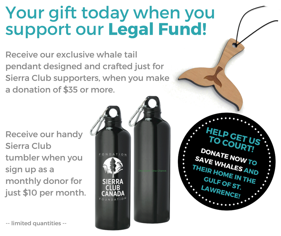 Your gift today when you support our Legal Fund!