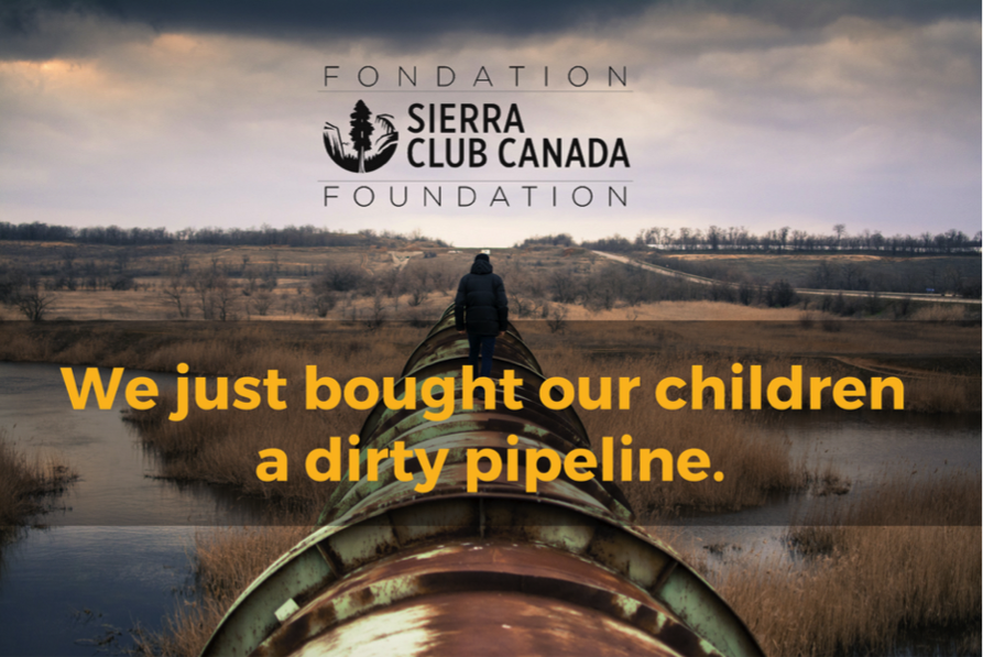 We just bought our children a dirty pipeline.