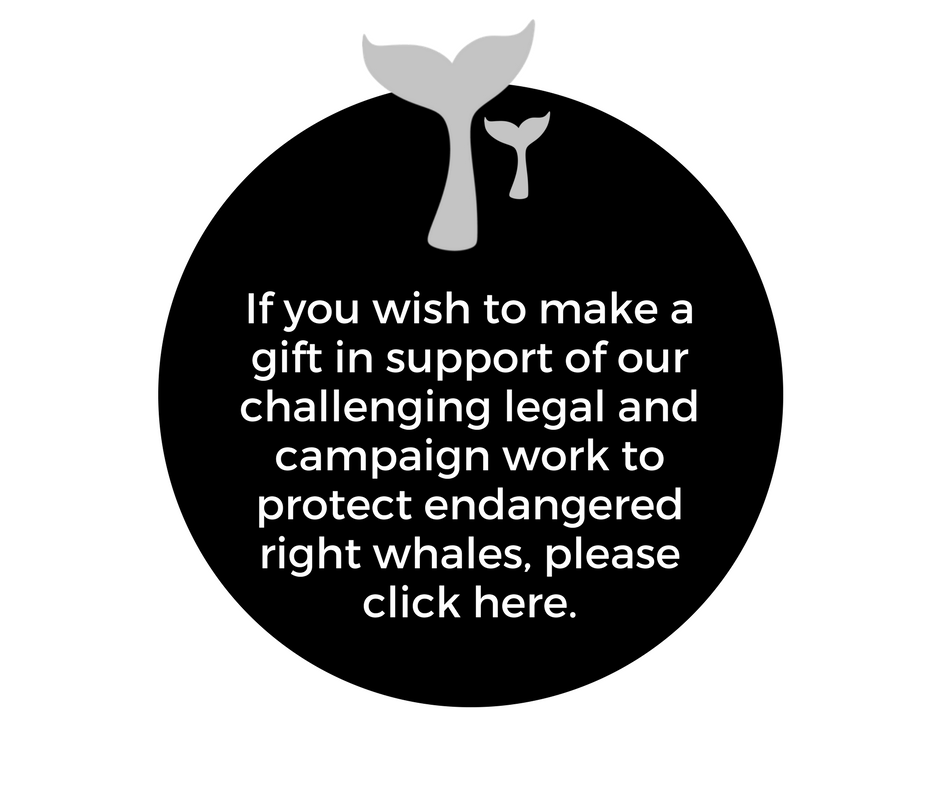You can support our work to protect endangered right whales bu clicking here.