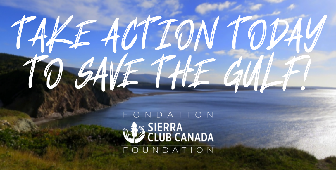 Take Action Today To Save The Gulf