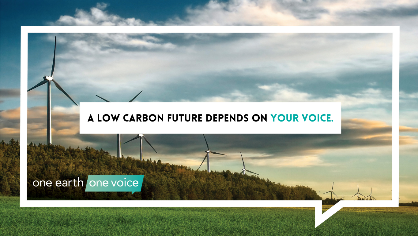 image of landscape with wind turbine text says a low carbon future depends on your voice