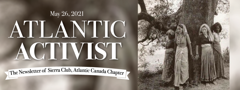 Atlantic Activist: The Newsletter of Sierra Club, Atlantic Canada Chapter