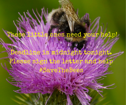 Deadline is midnight tonight - please sign the letter and help #SaveTheBees
