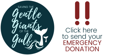 Click here to make your Emergency donation.