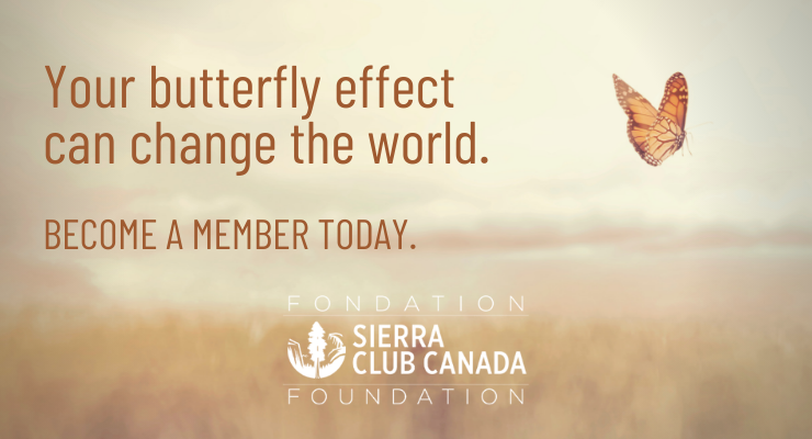 Become a Member. Your butterfly effect  can change the world