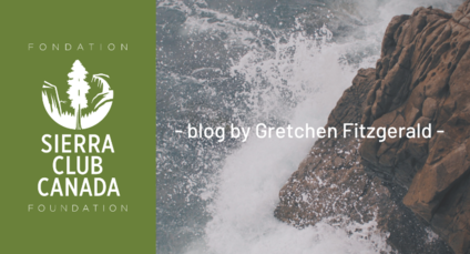blog by Gretchen Fitzgerald