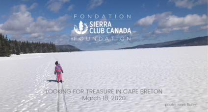 Looking for treasure in Cape Breton