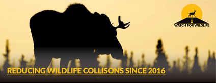 Watch for Wildlife - Preventing Wildlife Collisions Since 2016
