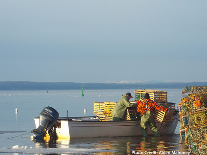 Fishermen loading lobster trap