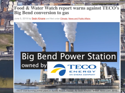 Emera TECO Plant, Tampa, Florida