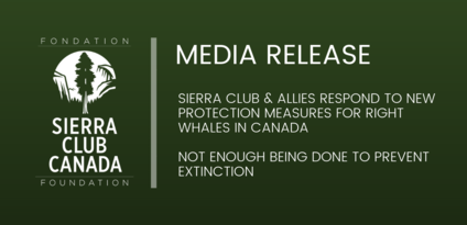 Media Release - Not Enough Being Done To Prevent Extinction