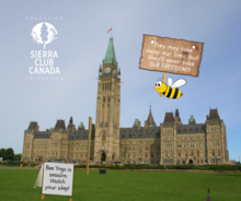 Bees plan protest on Parliament Hill