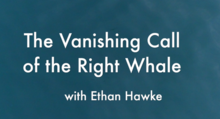 Vanishing Call of the Right Whale with Ethan Hawke