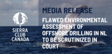 Flawed Environmental Assessment of Offshore Drilling in NL to be Scrutinized in Court