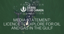 Media Statement: licence to explore for oil and gas in the gulf