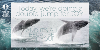 Today, we're doing a double-jump for joy and it's all because of YOU!