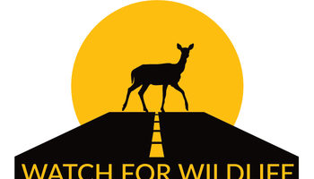 Watch for Wildlife logo
