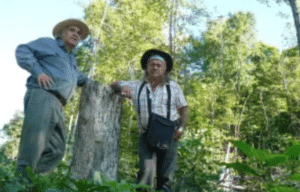 Author Dr. John Bacher and Mohawk Elder Danny Beaton at Waverley Uplands clear-cut. Sept 2015. Page: Victor Doyle Greenbelt Planner.