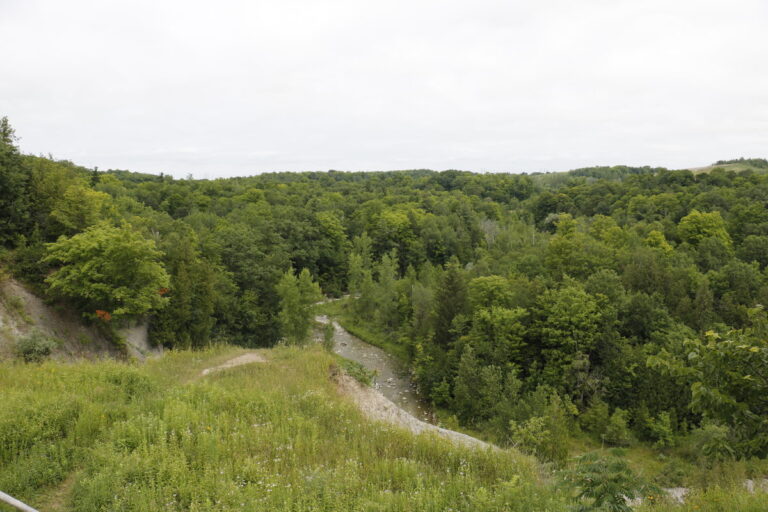 Rouge National Urban Park.