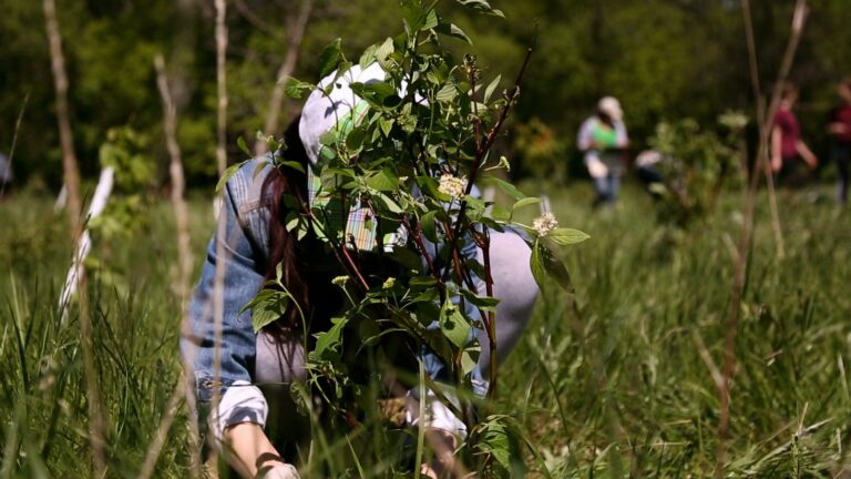 erindale_planting_may_23_20156