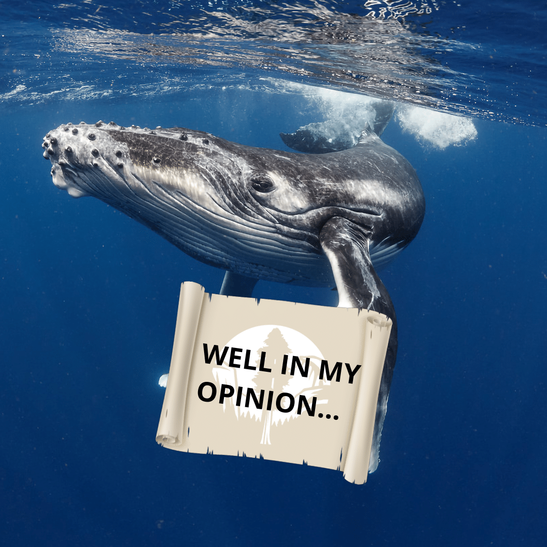 A whale holds a sign saying "well in my opinion"