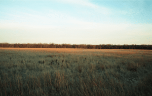 Prairie Grasslands Canada