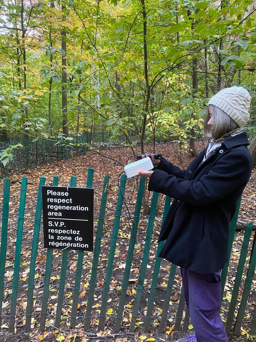 Sierra Club Ontario, Breathe Easy program volunteer taking an air quality reading