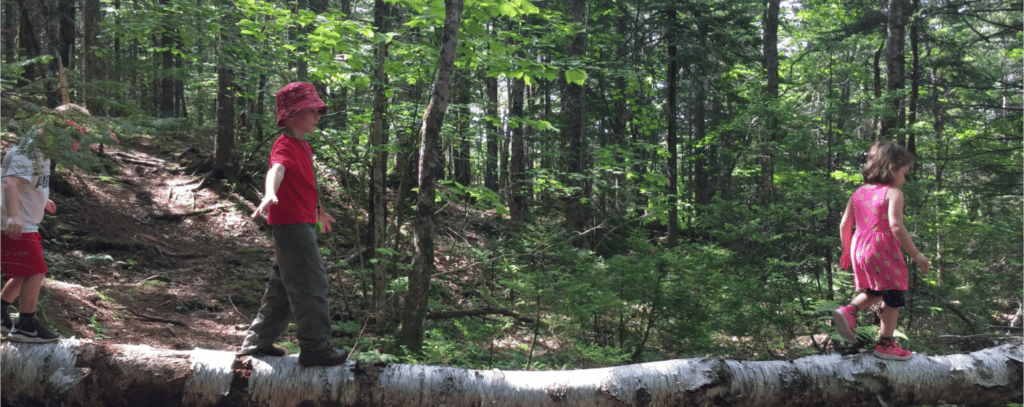 Photo from Sierra Club Canada's Wild Child outdoor education program. Wild Child kids outdoor education programs in Edmonton, NS, & PEI.