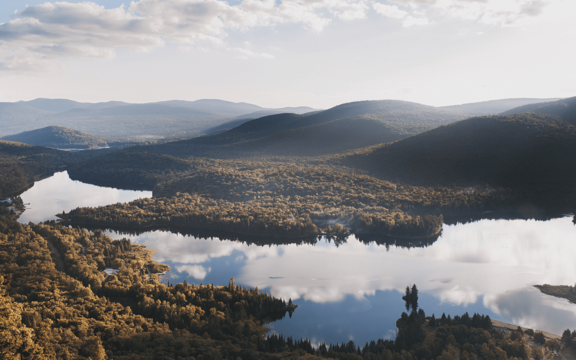 A lake in a forest