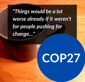 COP 27 Quote