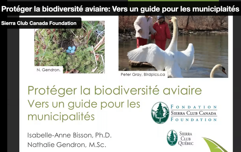 Bird conservation in Québec webinar