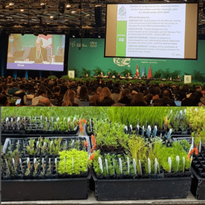 Sierra Club Canada At COP15 and Planting Gardens