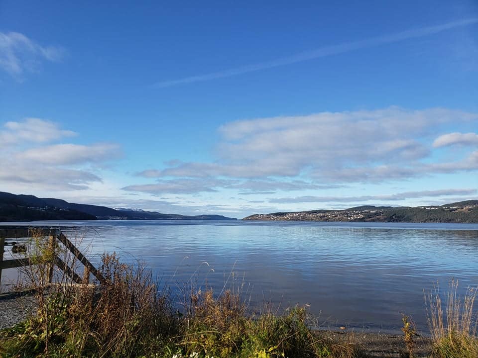 Bay of Islands Newfoundland. Membership - Sierra Club Atlantic.