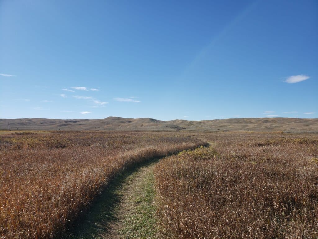 Sun shines on Grasslands National Park in Southern Saskatchewan. Sierra Club Prairie Chapter.