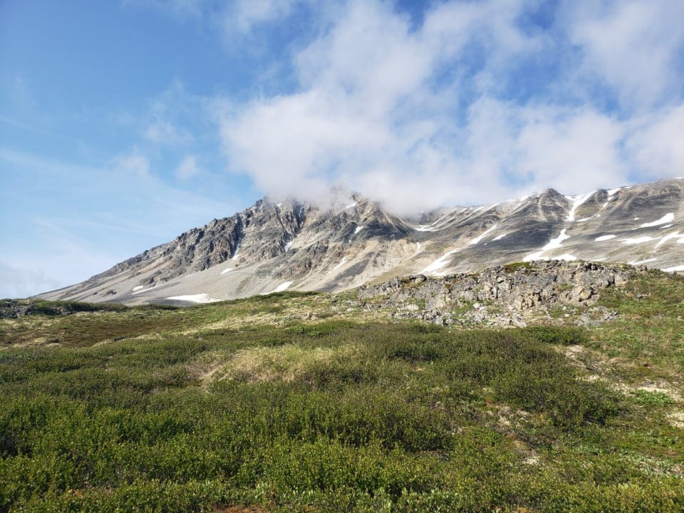 Photo of the Haines in the Yukon near the Alaska Border