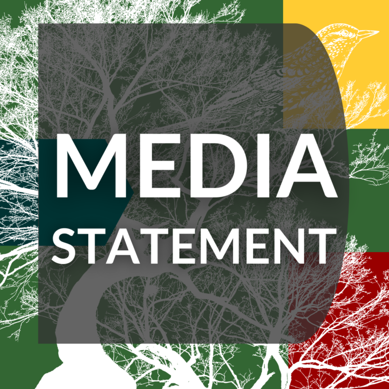 Media Statement Graphic.