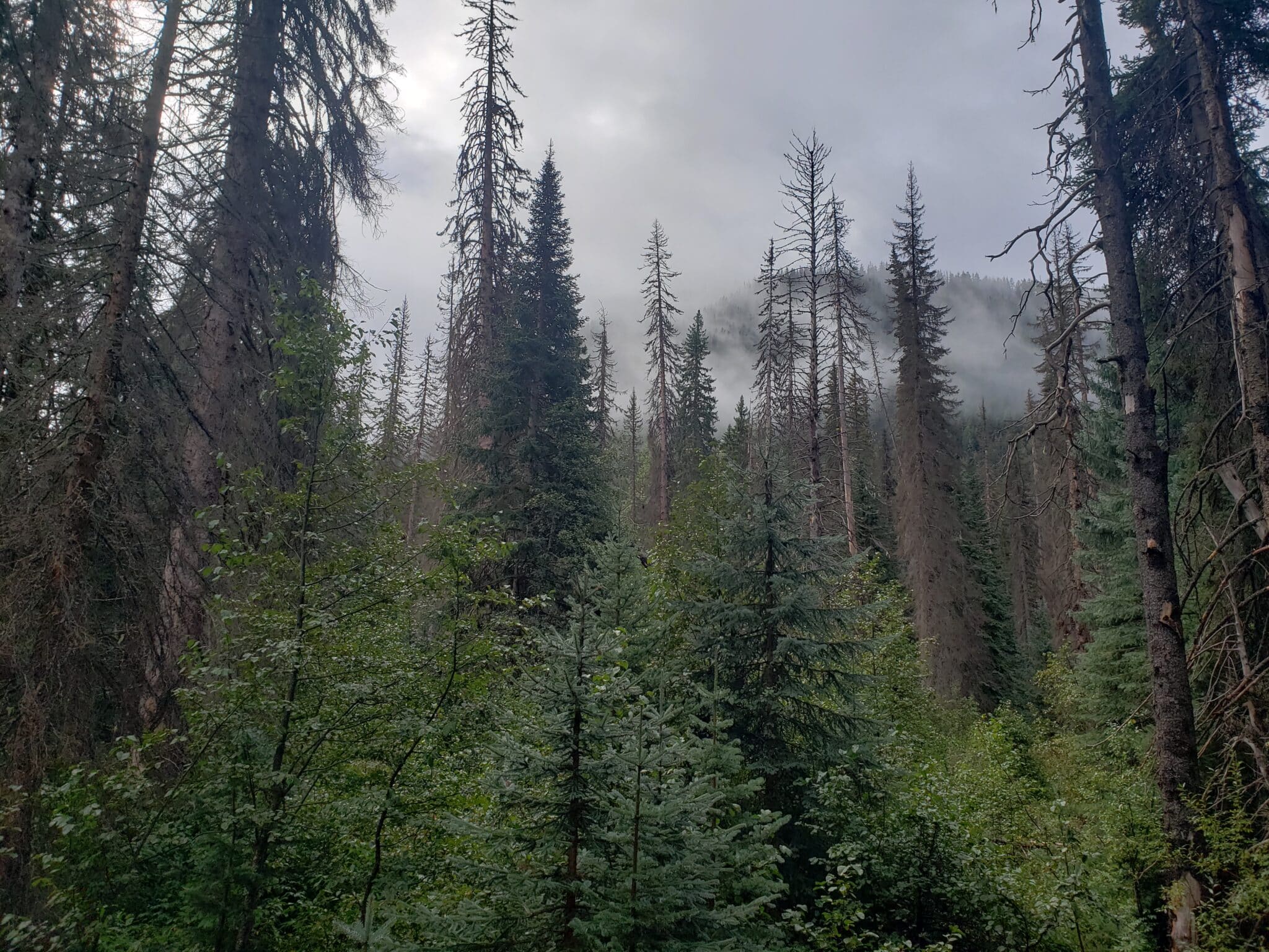 Merritt, BC