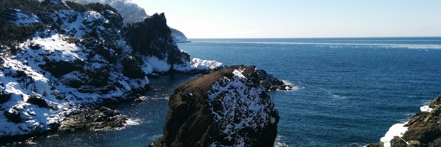 Miranda Cove, Newfoundland, in Winter