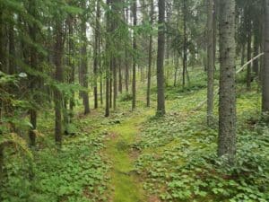 Mount Lorne, the Yukon