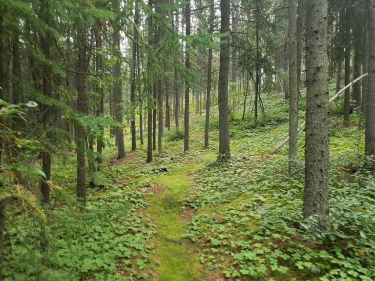 Mount Lorne, the Yukon