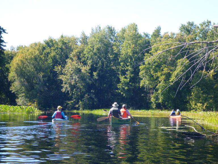 Muskrat River between Mud Lake and Muskrat Lake, Ontario