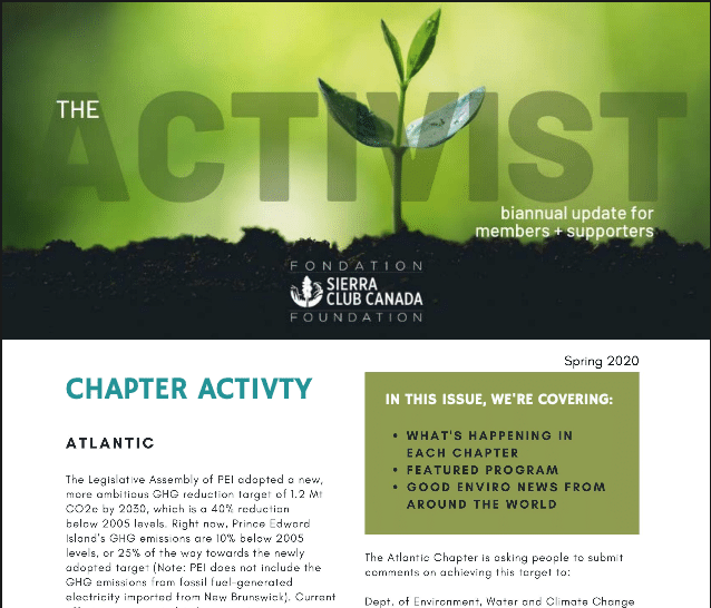 The Activist Newsletter