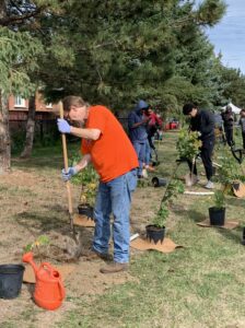 Photo from a Sierra Club Ontario tree planting event. Workplace giving.