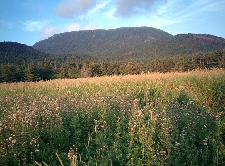 Image of a mountain in Western Newfoundland. Newfoundland Labrador Climate Podcast.