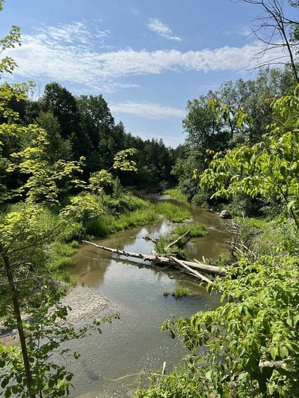 Photo of West Duffins Creek by Kristina Jackson July 2022